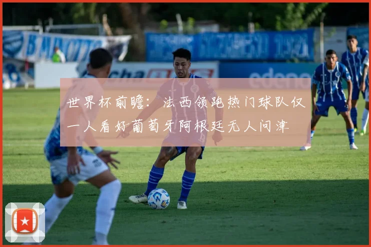 世界杯前瞻：法西领跑热门球队仅一人看好葡萄牙阿根廷无人问津