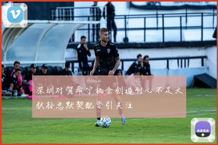 深圳对贺希宁机会创造耐心不足大秋孙总默契配合引关注