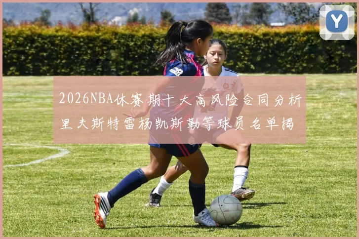 2026NBA休赛期十大高风险合同分析里夫斯特雷杨凯斯勒等球员名单揭秘